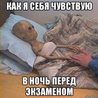 как я себя чувствую в ночь перед экзаменом