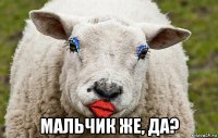  мальчик же, да?