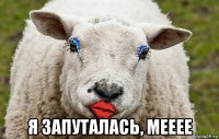  я запуталась, мееее