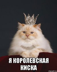  я королевская киска