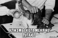  клизмы кота меня не пугают