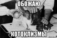обожаю котоклизмы