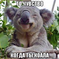 то чувство когда ты коала