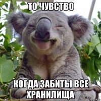 то чувство когда забиты все хранилища