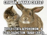 слушай, а какая связь? хотел стать агрономом - а стал садистом. такая связь