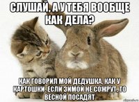 слушай, а у тебя вообще как дела? как говорил мой дедушка, как у картошки. если зимой не сожрут, то весной посадят
