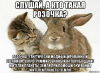 слушай, а кто такая розочка? розочка - генетически модифицированный организм, запрограммированный на порабощение жителей планеты земля при помощи охуевания жителей планеты земля