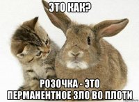 это как? розочка - это перманентное зло во плоти