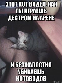 этот кот видел, как ты играешь дестром на арене и безжалостно убиваешь котоводов