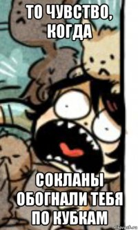 то чувство, когда сокланы обогнали тебя по кубкам