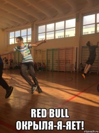  red bull окрыля-я-яет!