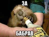 за бабрав