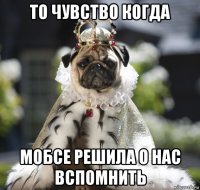 то чувство когда мобсе решила о нас вспомнить