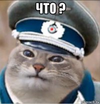 что ? 