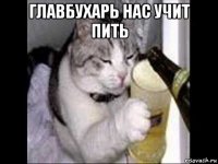 главбухарь нас учит пить 
