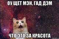 оу щет мэн, гад дэм что это за красота