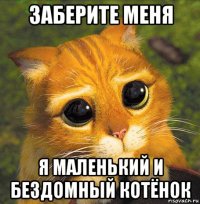 заберите меня я маленький и бездомный котёнок