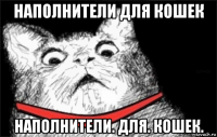 наполнители для кошек наполнители. для. кошек.