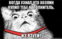 когда узнал что хозяин купил тебе наполнитель, из ртути!