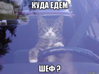 куда едем шеф ?