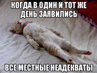 когда в один и тот же день заявились все местные неадекваты