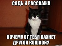 сядь и расскажи почему от тебя пахнет другой кошкой?