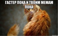 гастер пока и твоим мемам пока 
