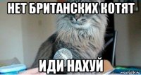 нет британских котят иди нахуй