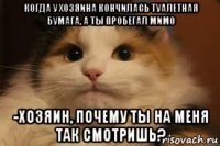 когда у хозяина кончилась туалетная бумага, а ты пробегал мимо -хозяин, почему ты на меня так смотришь?