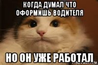когда думал что оформишь водителя но он уже работал