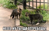  нееее, ну ты ща отгребёшь!
