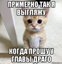 примерно так я выгляжу когда прошу у главы драго