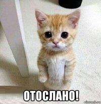  отослано!