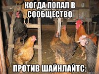 когда попал в сообщество против шайнлайтс: