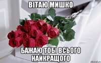 вітаю мишко бажаю тобі всього найкращого