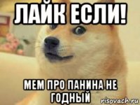 лайк если! мем про панина не годный