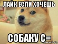 лайк если хочешь собаку с=