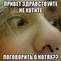 привет здравствуйте не хотите поговорить о котях??