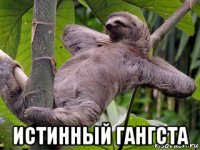  истинный гангста