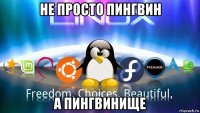 не просто пингвин а пингвинище