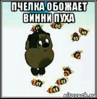 пчелка обожает винни пуха 