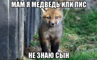 мам я медведь или лис не знаю сын