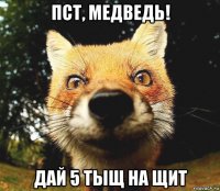 пст, медведь! дай 5 тыщ на щит