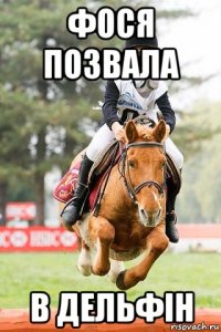 фося позвала в дельфін