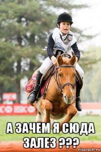  а зачем я сюда залез ???