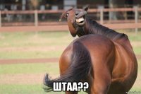  штаа??