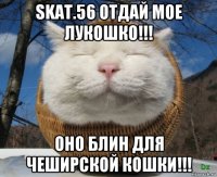 skat.56 отдай мое лукошко!!! оно блин для чеширской кошки!!!