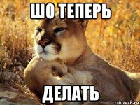 шо теперь делать