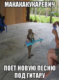 макакакукаревич поёт новую песню под гитару