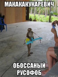 макакакукаревич обоссаный русофоб